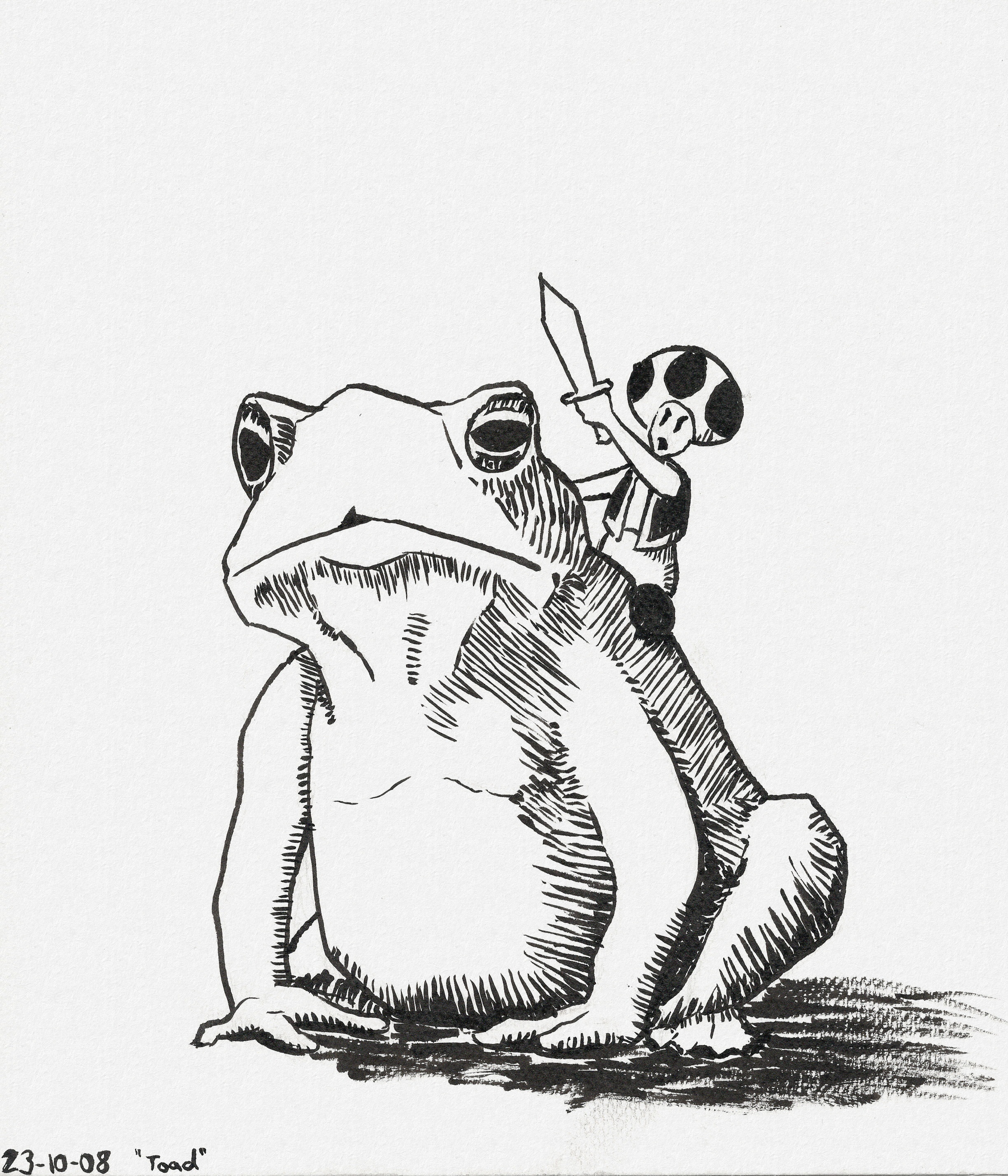 Toad (the character from Super Mario) riding a toad (the animal from real life) and holding up a little sword.