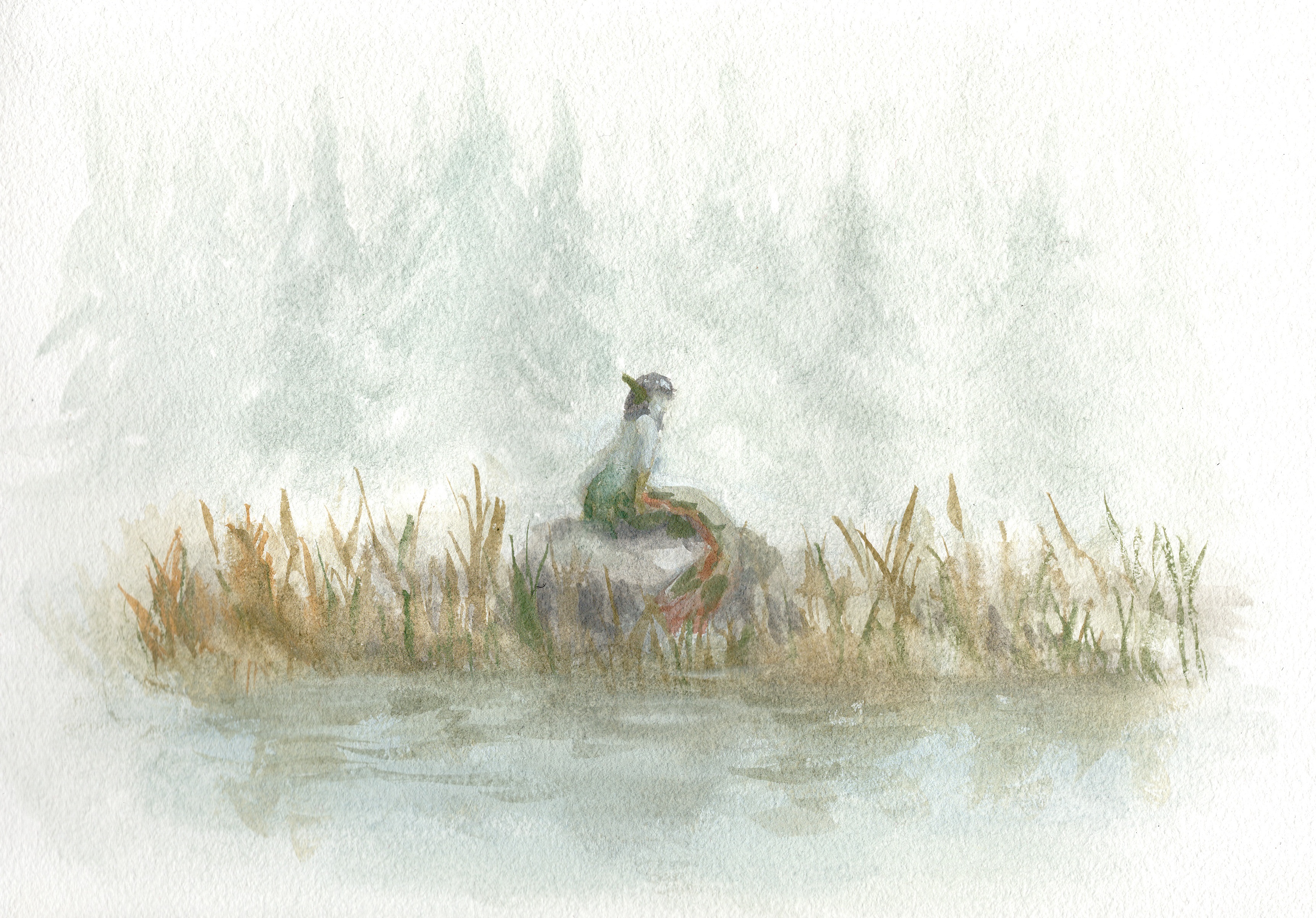 Gouache painting of a mermaid sitting on a rock surrounded by reeds and water.
It's very misty, expressed by painting transparently and letting the white paper show through.
A forest can be faintly seen in the background.