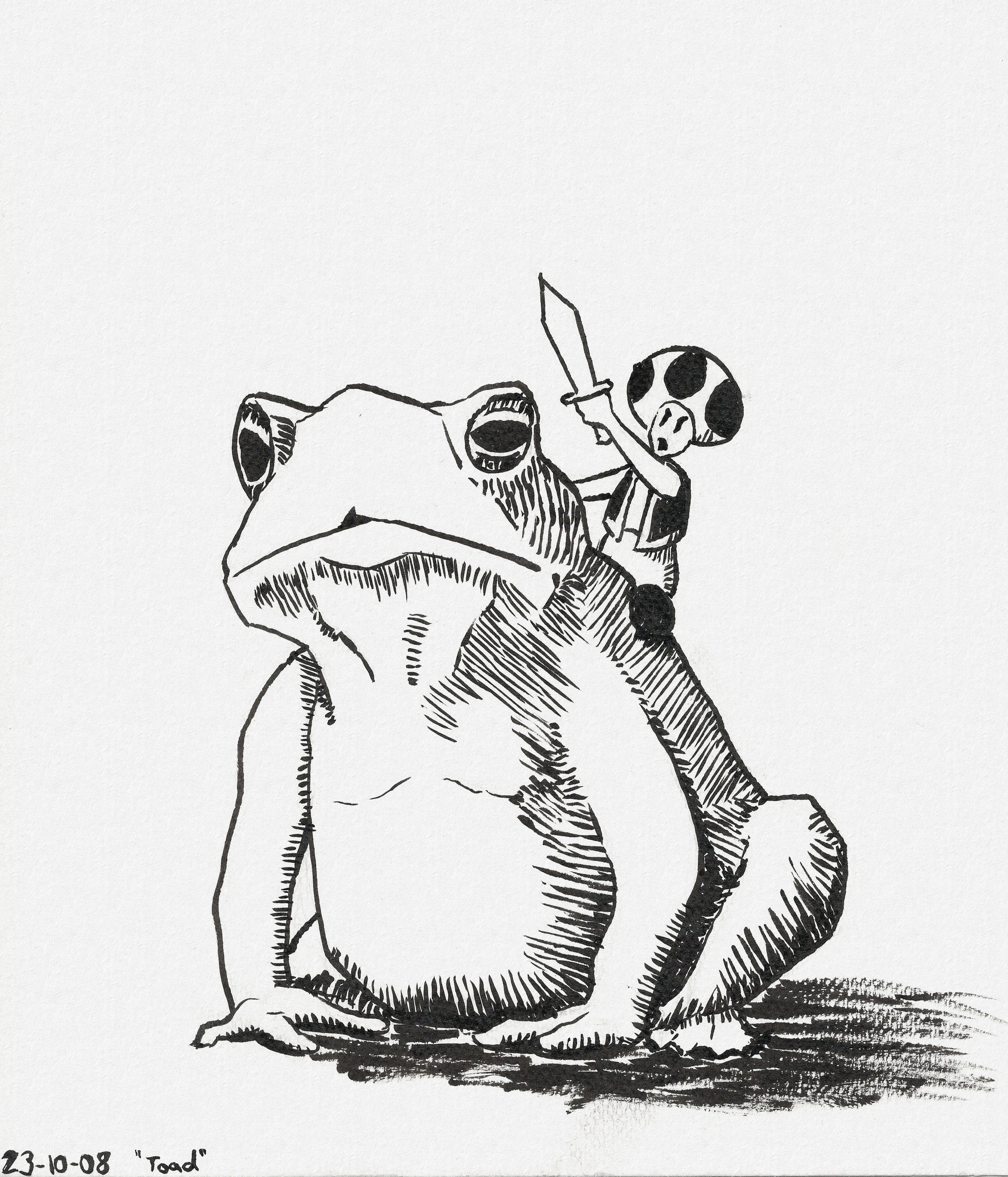 Toad (the character from Super Mario)
riding a toad (the animal from real life) and holding up a little sword.